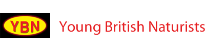 Young Britisth Naturists